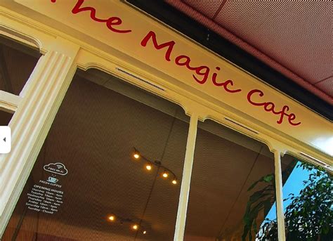 The Magic Cafe Unveiled: A Journey into the World of Magic